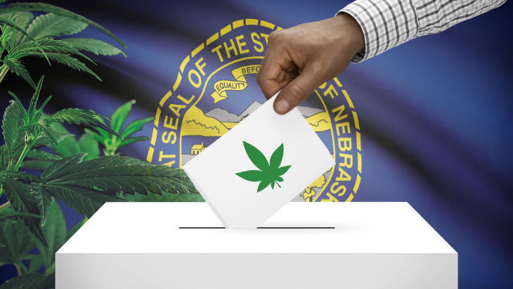 Causal analysis of marijuana legalization and opioid mortality trends